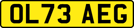 OL73AEG