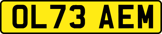 OL73AEM