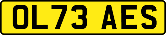 OL73AES