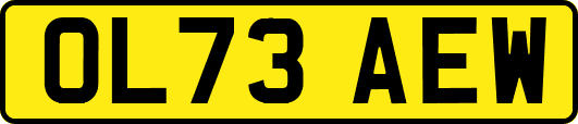 OL73AEW