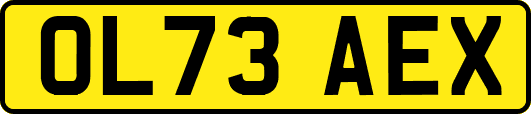 OL73AEX