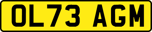 OL73AGM