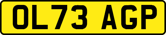 OL73AGP