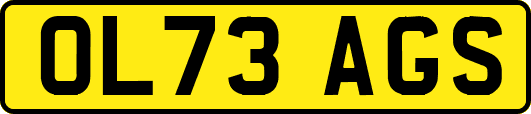 OL73AGS