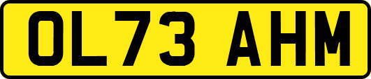 OL73AHM