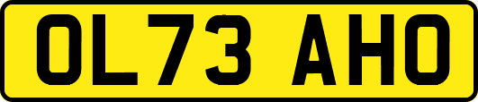 OL73AHO