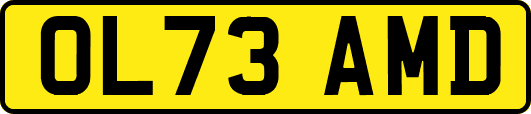 OL73AMD