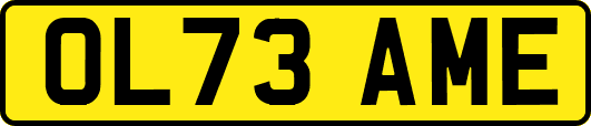 OL73AME