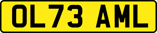 OL73AML