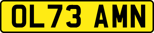 OL73AMN