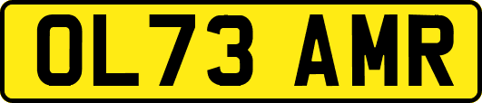 OL73AMR