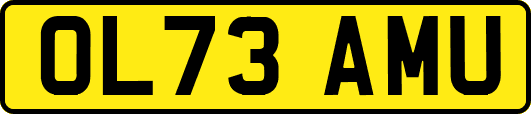 OL73AMU