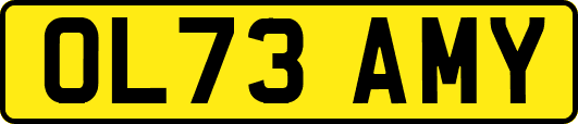 OL73AMY