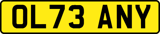 OL73ANY