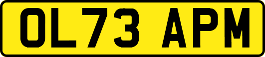 OL73APM