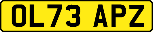 OL73APZ