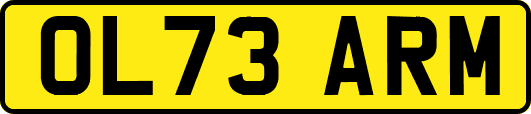 OL73ARM