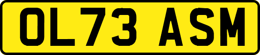 OL73ASM