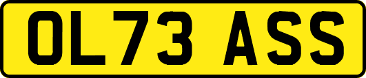 OL73ASS