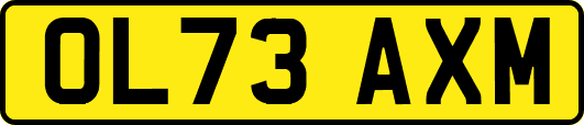 OL73AXM