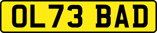 OL73BAD