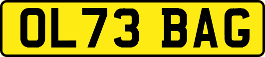 OL73BAG