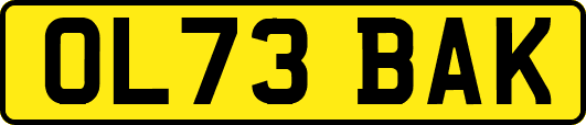 OL73BAK