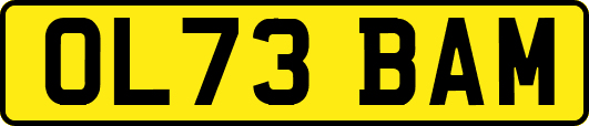 OL73BAM