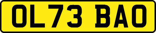 OL73BAO