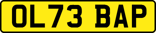 OL73BAP