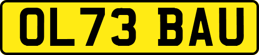 OL73BAU