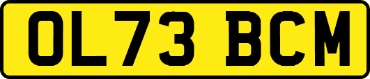 OL73BCM