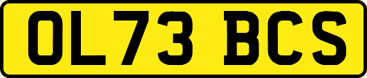 OL73BCS