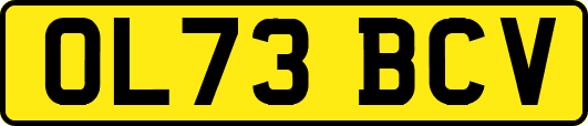 OL73BCV