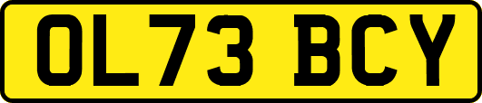 OL73BCY