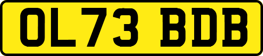 OL73BDB