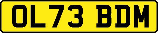 OL73BDM
