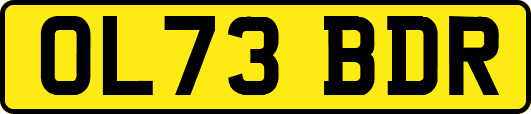 OL73BDR