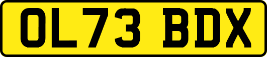 OL73BDX