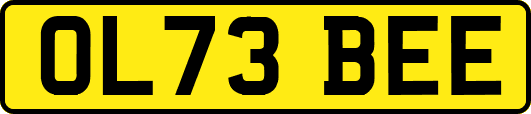 OL73BEE