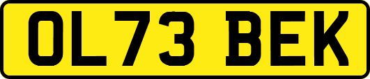 OL73BEK