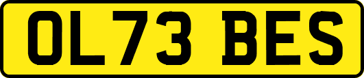 OL73BES