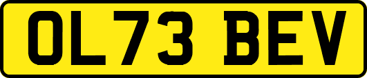 OL73BEV