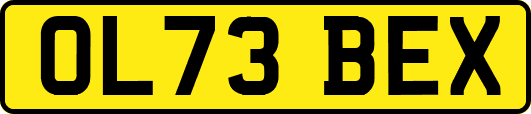 OL73BEX