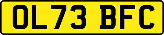 OL73BFC