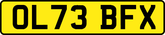 OL73BFX
