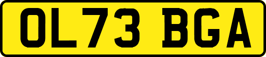 OL73BGA