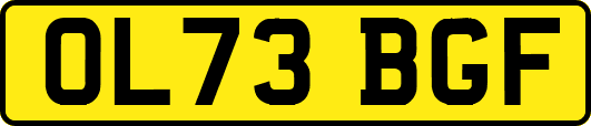 OL73BGF
