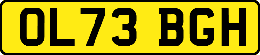 OL73BGH