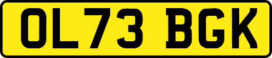 OL73BGK